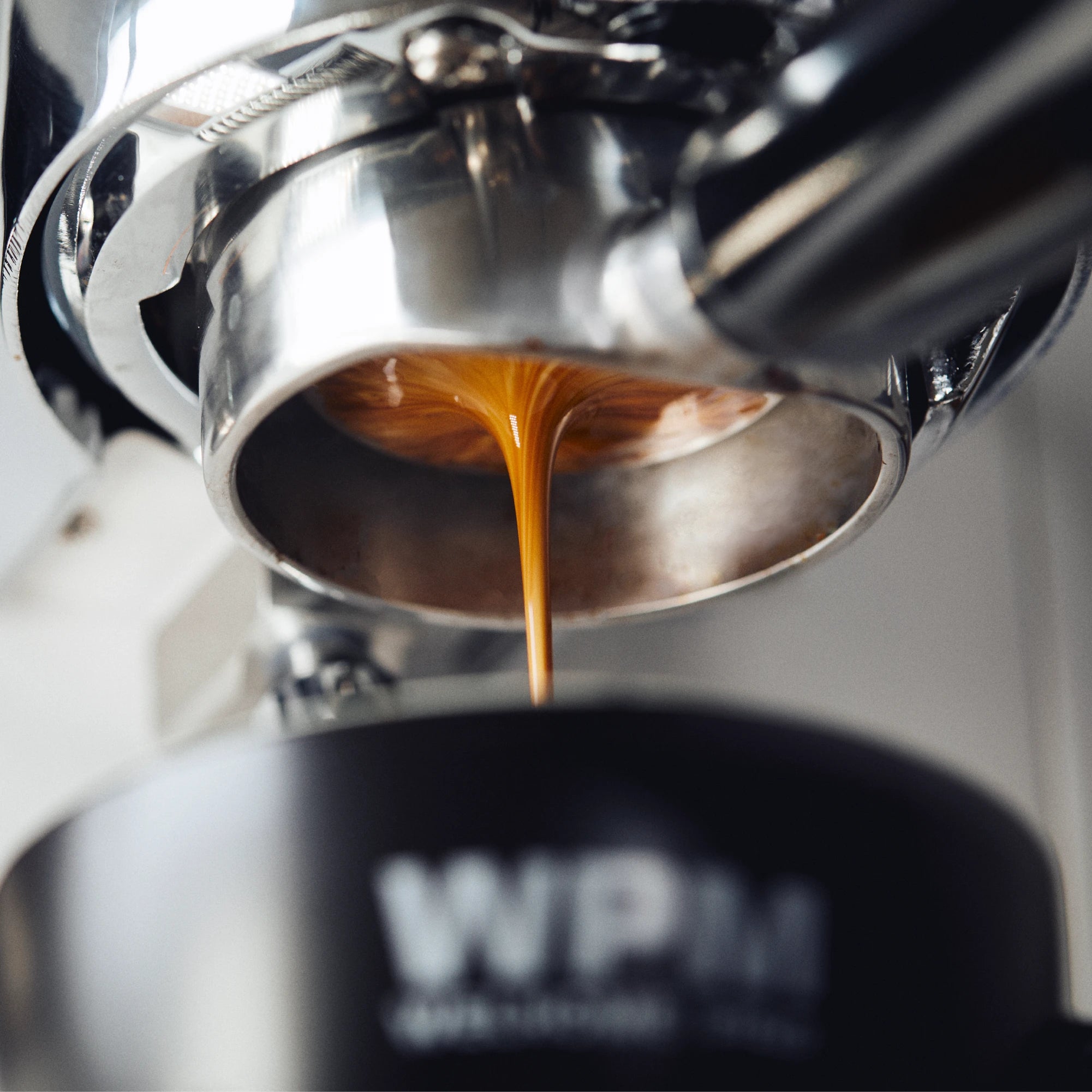 香港中藥批發 台灣中藥批發 日本中藥批發 中藥貿易 中藥出口