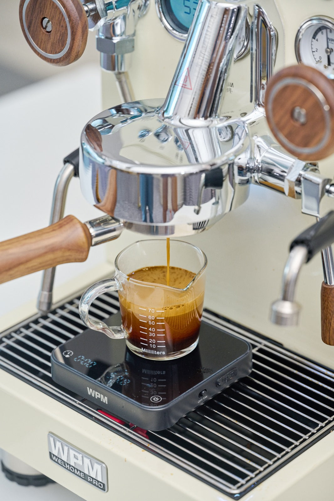 香港中藥批發 台灣中藥批發 日本中藥批發 中藥貿易 中藥出口