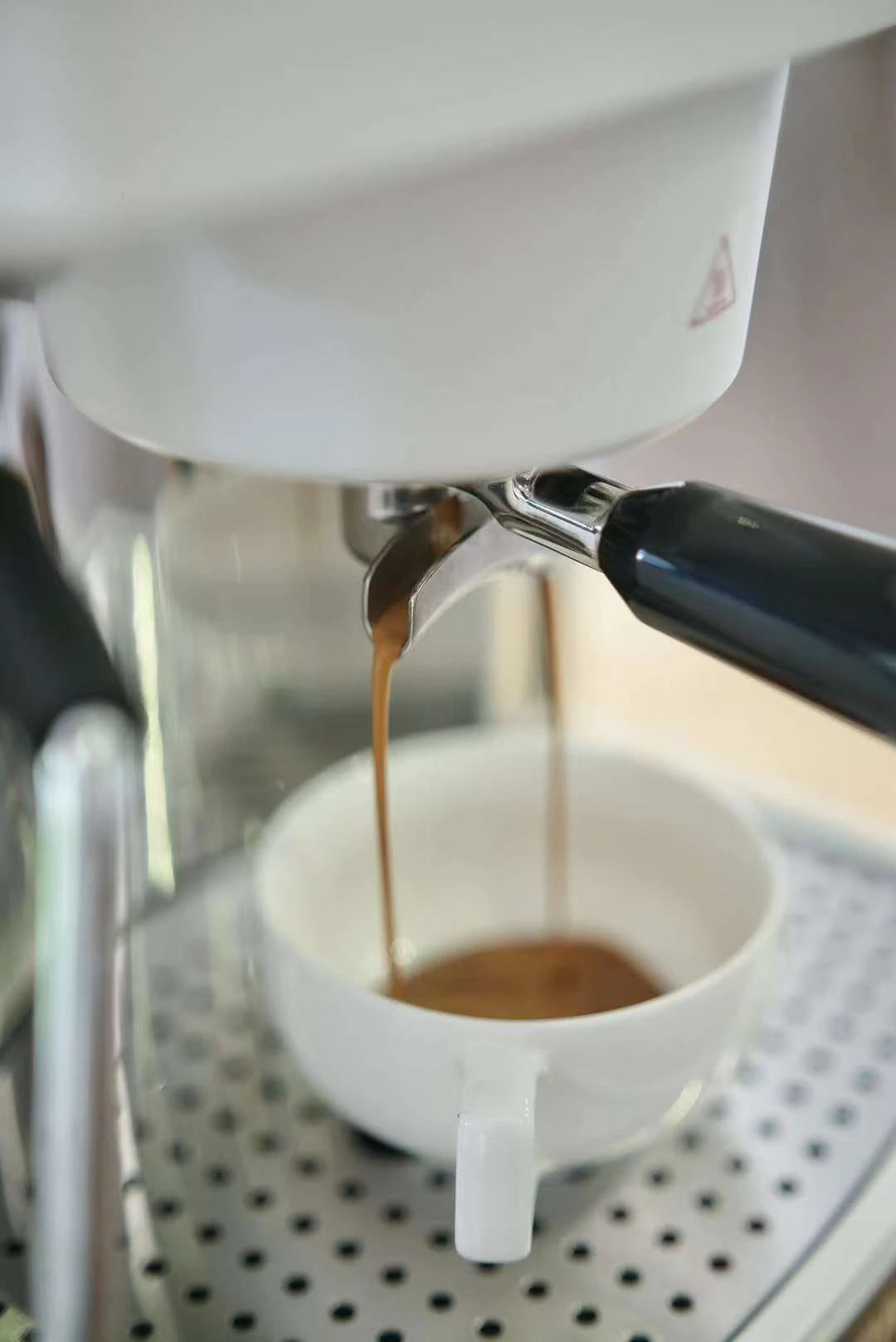 香港中藥批發 台灣中藥批發 日本中藥批發 中藥貿易 中藥出口