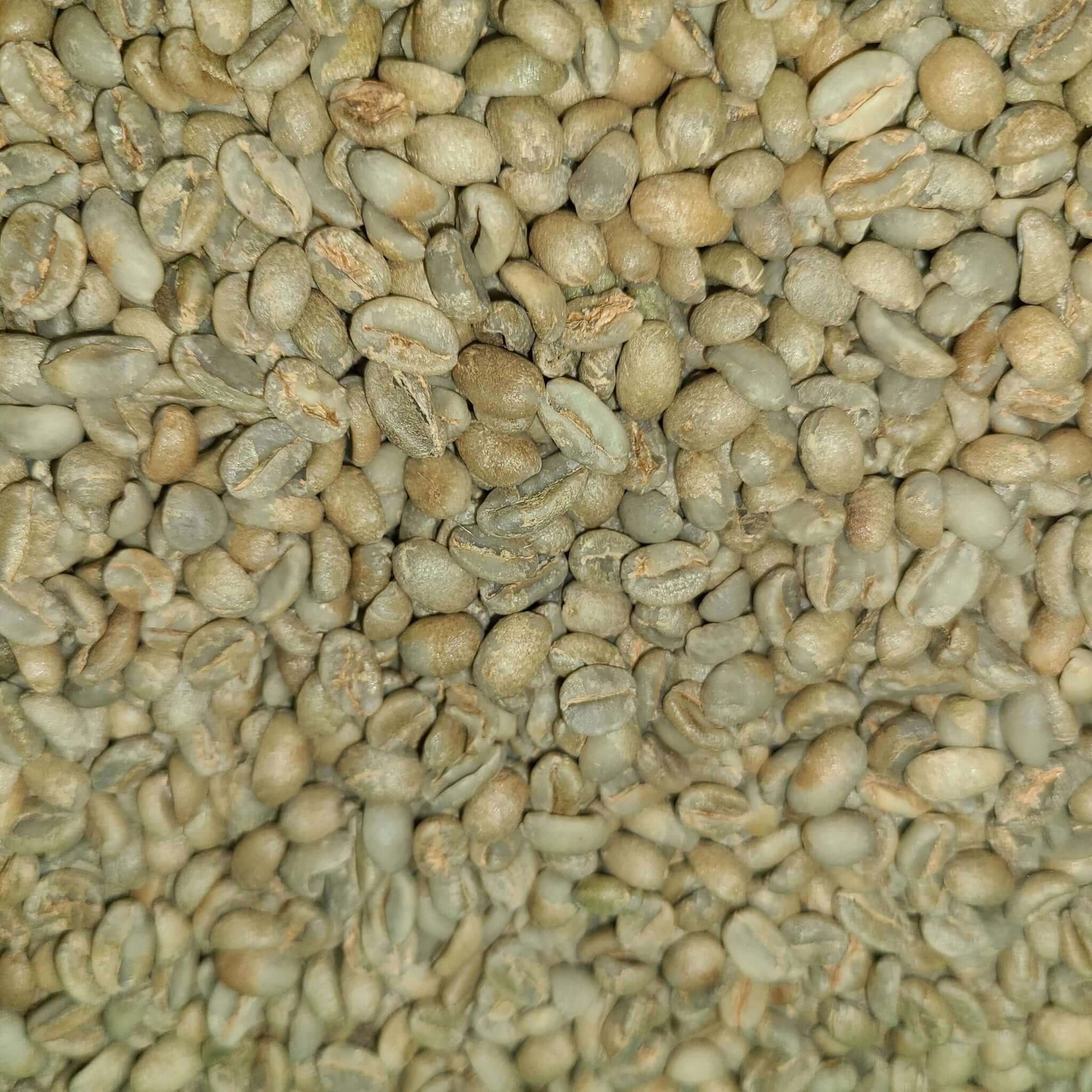 香港中藥批發 台灣中藥批發 日本中藥批發 中藥貿易 中藥出口