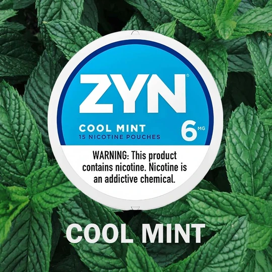 ZYN COOL MINT 6mg