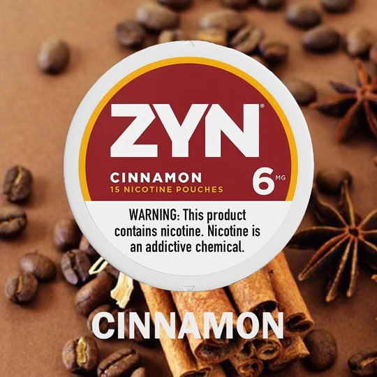 ZYN Cinnamon 6mg