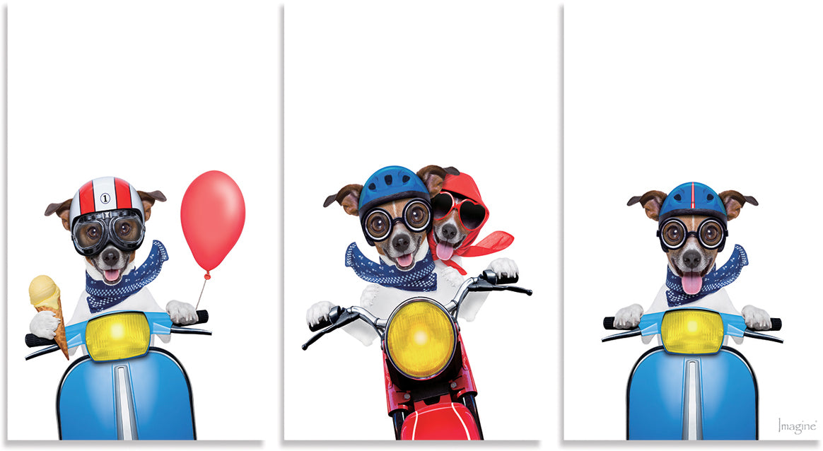 香港中藥批發 台灣中藥批發 日本中藥批發 中藥貿易 中藥出口