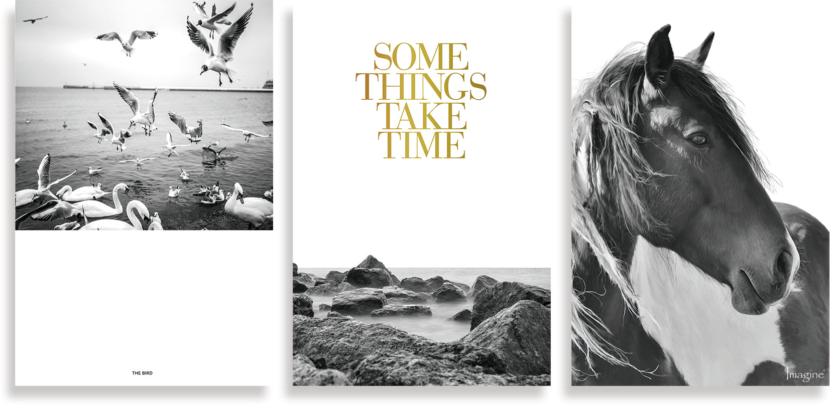 香港中藥批發 台灣中藥批發 日本中藥批發 中藥貿易 中藥出口