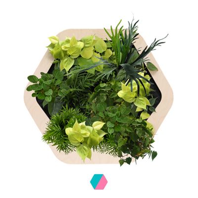 香港中藥批發 台灣中藥批發 日本中藥批發 中藥貿易 中藥出口