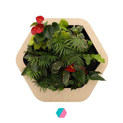 香港中藥批發 台灣中藥批發 日本中藥批發 中藥貿易 中藥出口