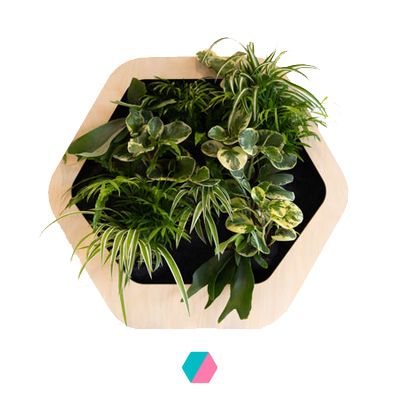 香港中藥批發 台灣中藥批發 日本中藥批發 中藥貿易 中藥出口