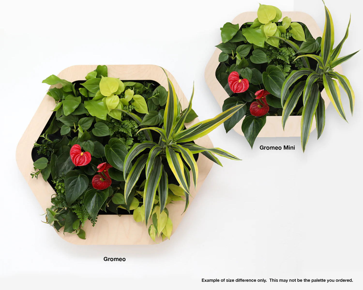 香港中藥批發 台灣中藥批發 日本中藥批發 中藥貿易 中藥出口