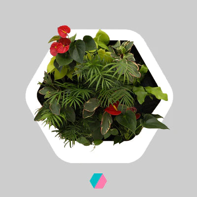 香港中藥批發 台灣中藥批發 日本中藥批發 中藥貿易 中藥出口