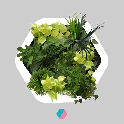 香港中藥批發 台灣中藥批發 日本中藥批發 中藥貿易 中藥出口