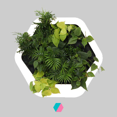 香港中藥批發 台灣中藥批發 日本中藥批發 中藥貿易 中藥出口