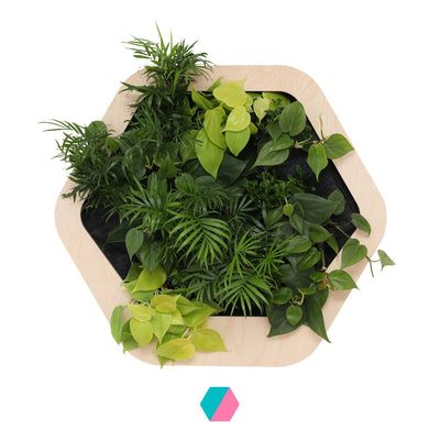 香港中藥批發 台灣中藥批發 日本中藥批發 中藥貿易 中藥出口