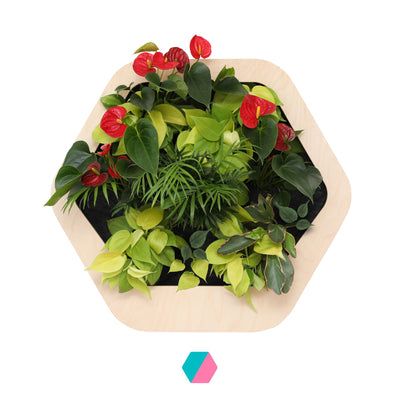 香港中藥批發 台灣中藥批發 日本中藥批發 中藥貿易 中藥出口