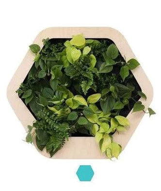 香港中藥批發 台灣中藥批發 日本中藥批發 中藥貿易 中藥出口