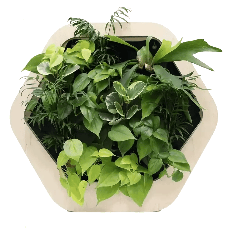 香港中藥批發 台灣中藥批發 日本中藥批發 中藥貿易 中藥出口