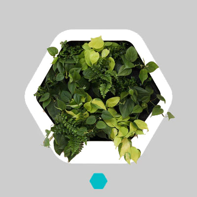 香港中藥批發 台灣中藥批發 日本中藥批發 中藥貿易 中藥出口