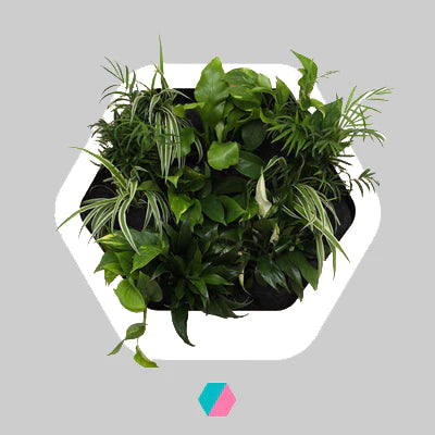 香港中藥批發 台灣中藥批發 日本中藥批發 中藥貿易 中藥出口