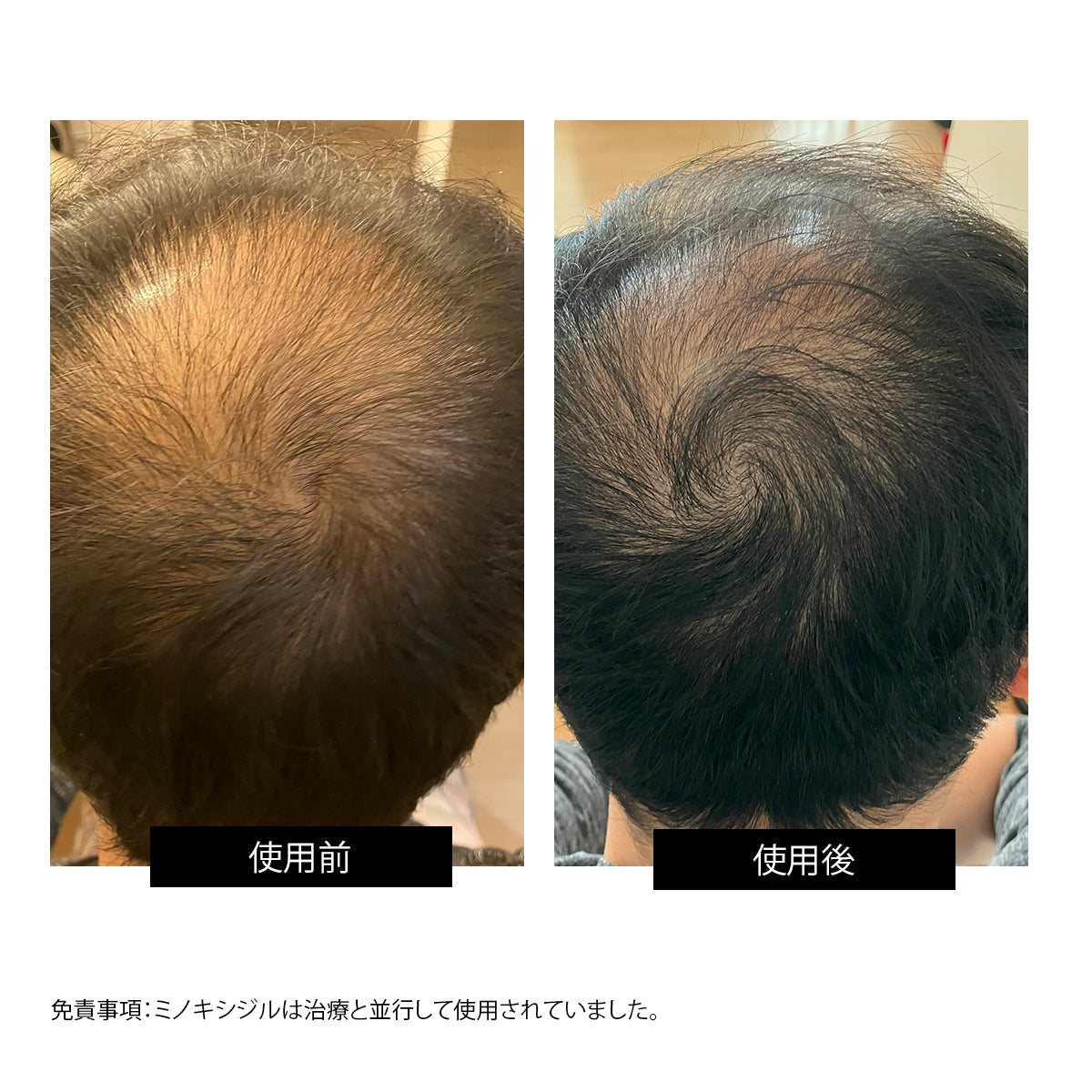 香港中藥批發 台灣中藥批發 日本中藥批發 中藥貿易 中藥出口