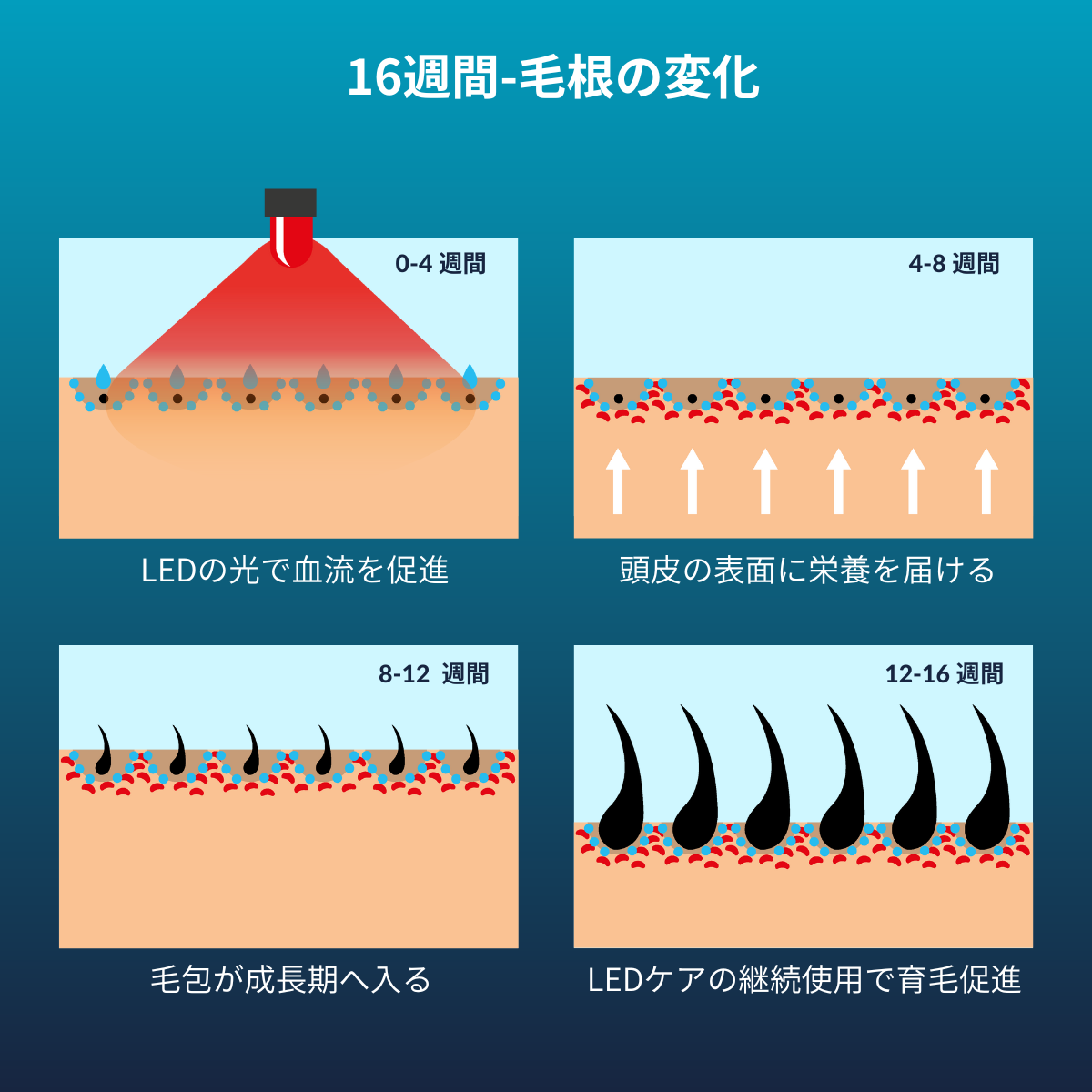 香港中藥批發 台灣中藥批發 日本中藥批發 中藥貿易 中藥出口