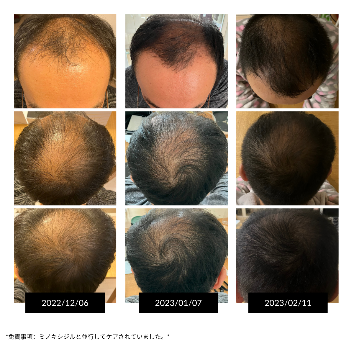 香港中藥批發 台灣中藥批發 日本中藥批發 中藥貿易 中藥出口