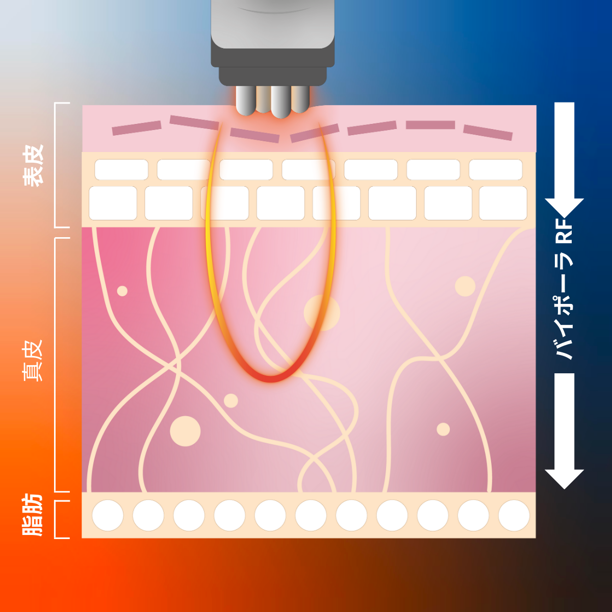 ClariOLED Transparent OLED Display price