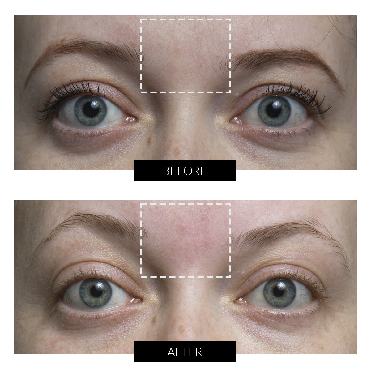 ClariOLED Transparent OLED Display price