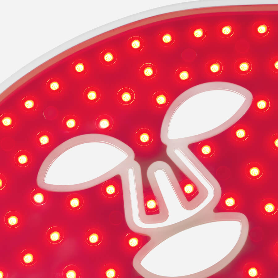 ClariOLED Transparent OLED Display price