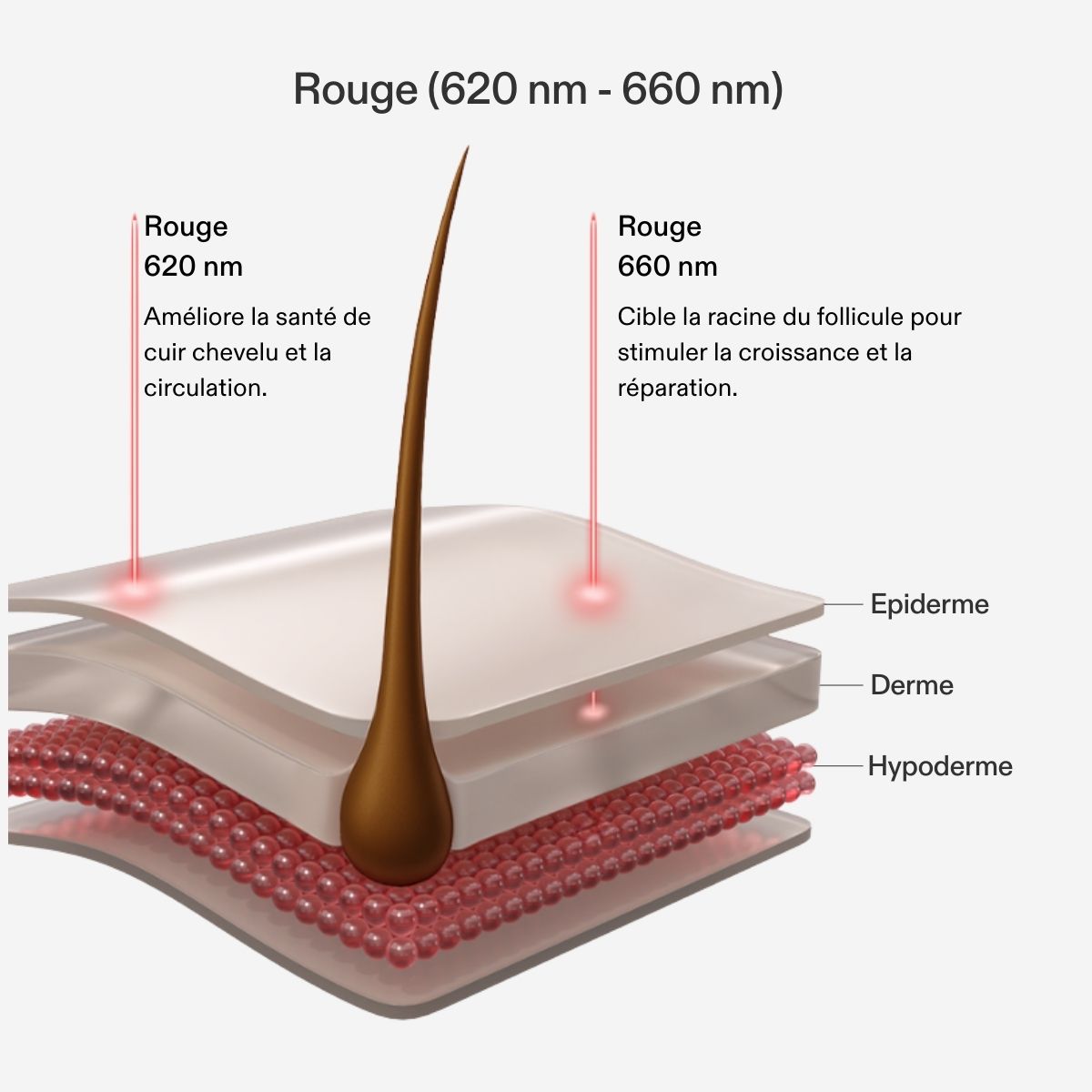 APP Cost Calculator: Software Dev, App Dev, IT 