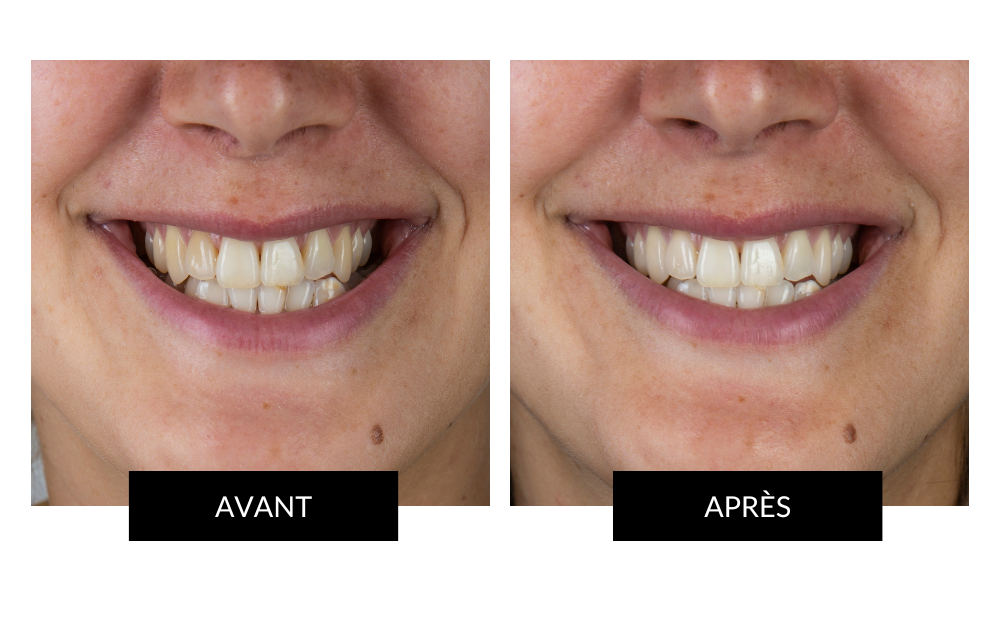 APP Cost Calculator: Software Dev, App Dev, IT 