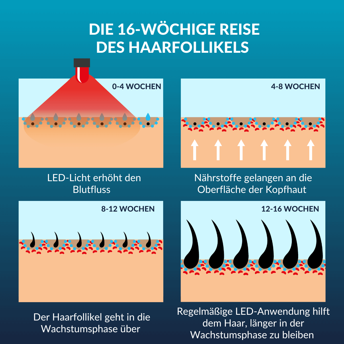ClariOLED Transparent OLED Display price