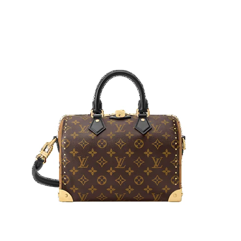 Louis Vuitton Speedy 25