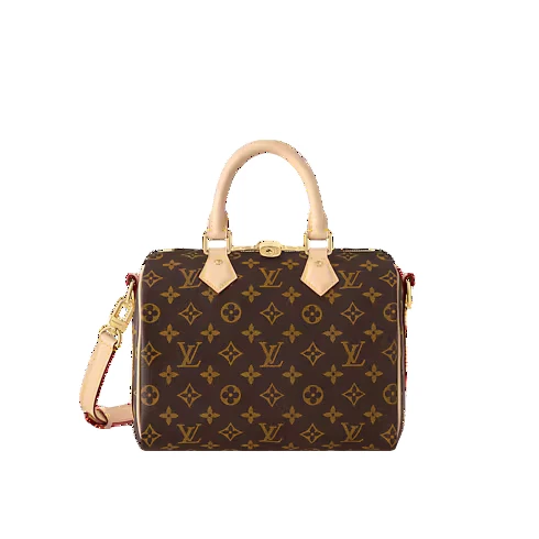 ​​Louis Vuitton Speedy