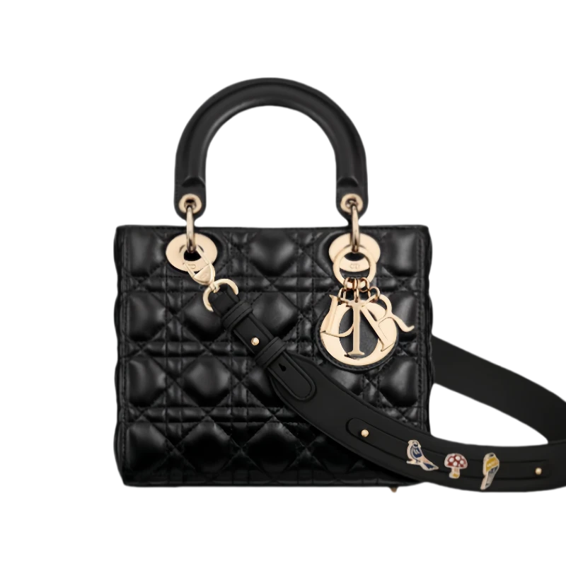 Small Lady Dior My ABCDior Bag