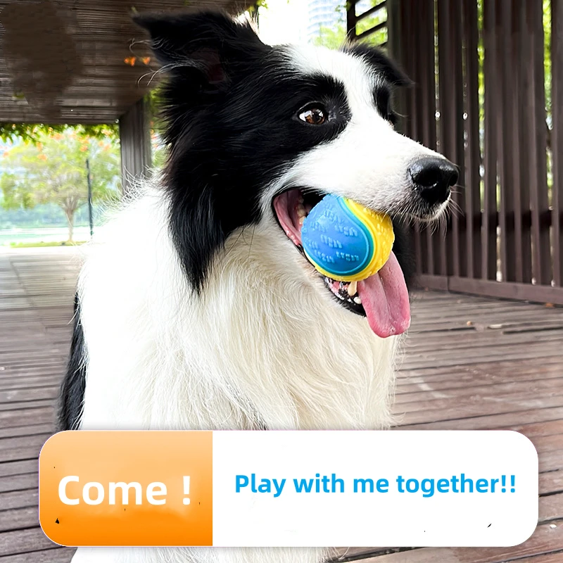 Borthalcy Squeaker Balls for Dogs, Floating WaterToys, Interactive Dog Toy, Durable RubberToy, Bouncy Squeaky Fetch Balls For Dogs