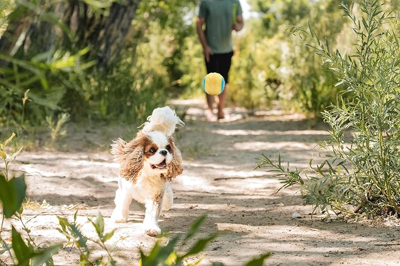 Linkspe Interlink Group