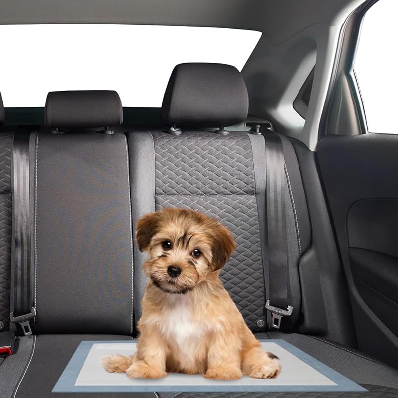 Linkspe Interlink Group