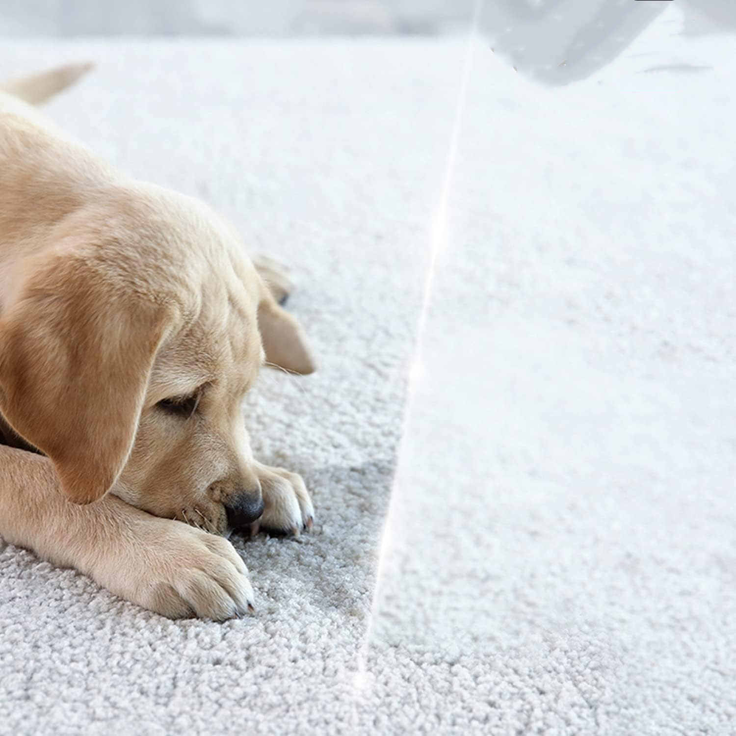 Linkspe Interlink Group