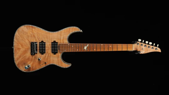PD-Pegasus Master 10th Anniversary limited Nature Flame Maple Top