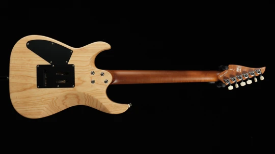 PD-Pegasus Master 10th Anniversary limited Nature Flame Maple Top