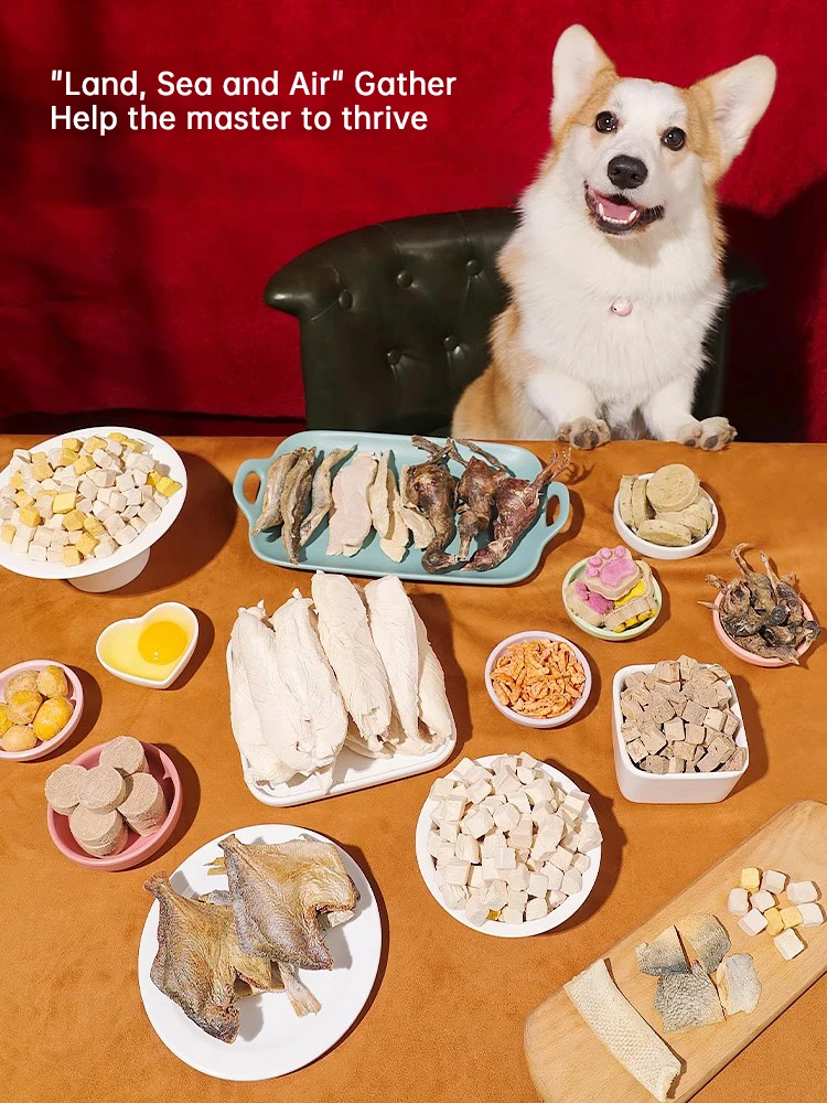 Pet freeze-dried meat snacks chicken beef duck quail chicken small breast 500g dog cat snacks