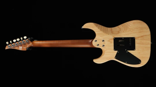 PD-Pegasus Master 10th Anniversary limited Nature Flame Maple Top