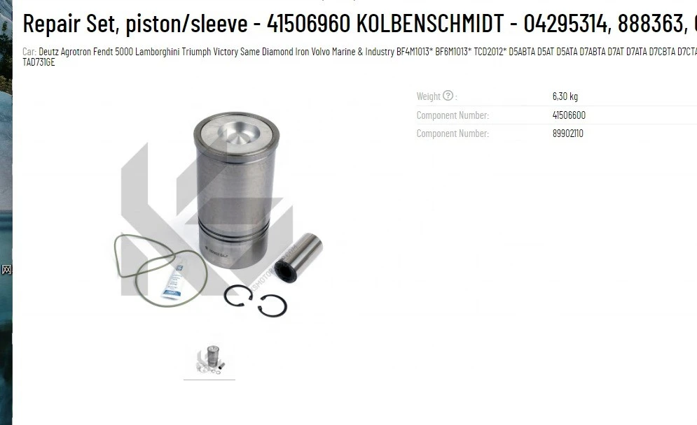 Piston 41506960 888363 04253771 04295314 0425 3771 0429 5314 4253771 4295314 for deutz BFM1013 TCD2012 TAD530GE TAD520GE D5E D7E