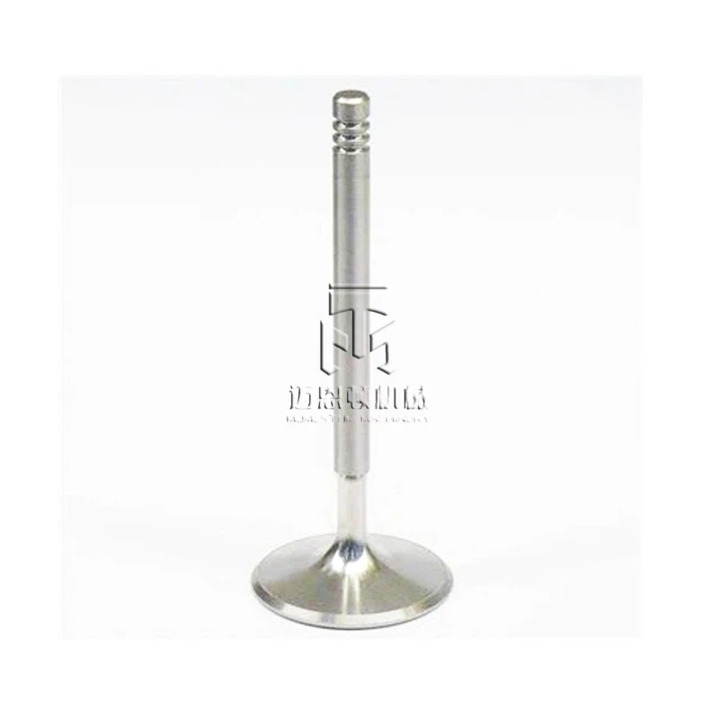 Intake Valve 04250137 04254232 04283378 4250137 4254232 4283378 0425 0137 0425 4232 0428 3378 for deutz TCD2013