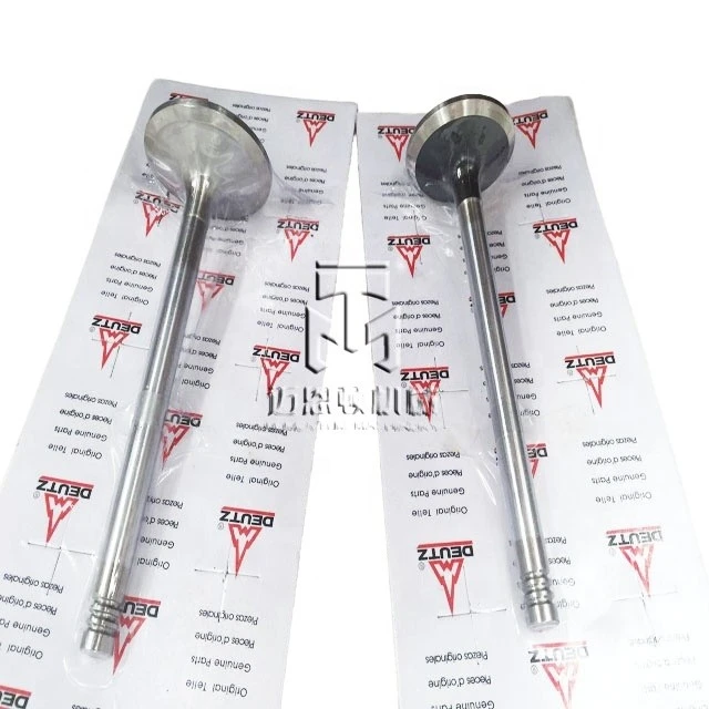 Inlet And Exhaust Valve 04509353 04509354 0450 9353 0450 9354 4509353 4509354 For Deutz BF6M1013 Engine