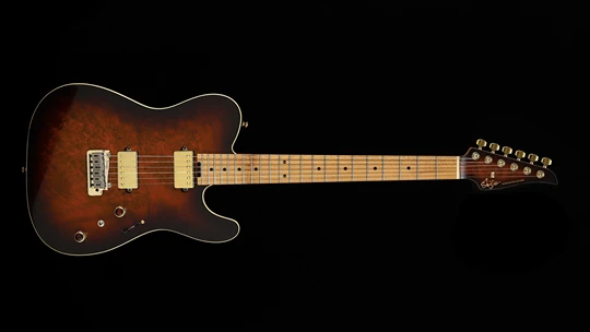 TLM-6