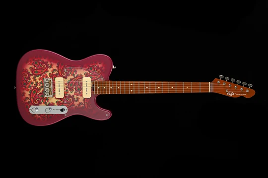 TLV-P90 Paisley