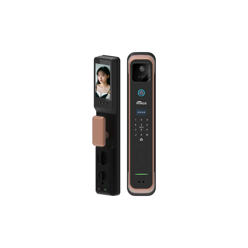 Mingslock Smart Lock A01