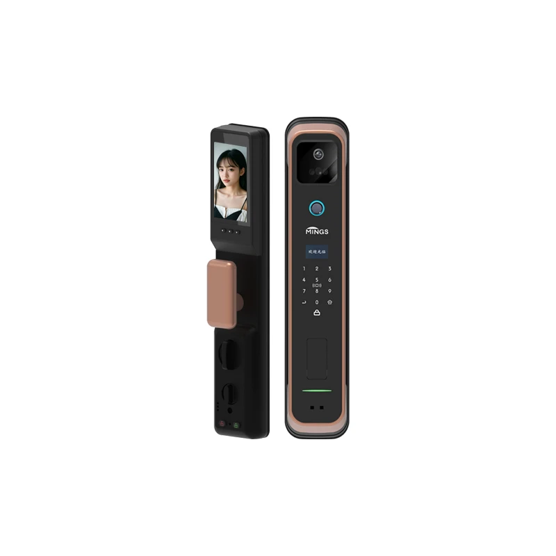 Mingslock Smart Lock A01