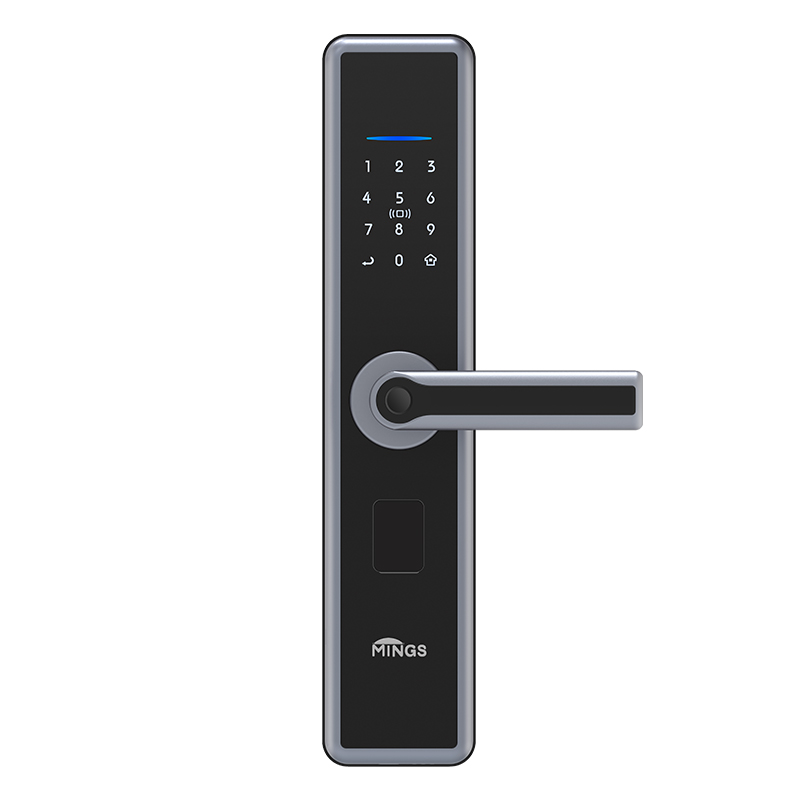 Mingslock ST20 Smart Lock