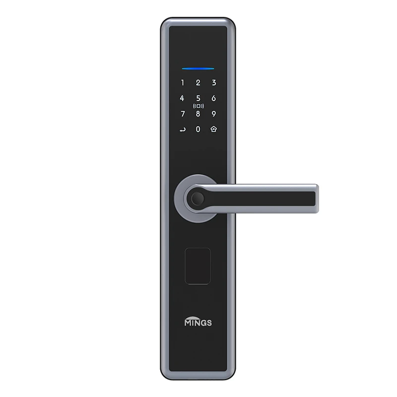Mingslock ST20 Smart Lock